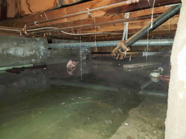 Best 24-hour water damage restoration  in Paramus, NJ