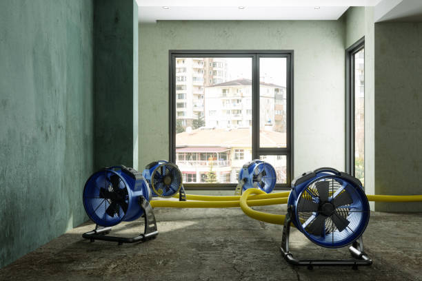 Water damage restoration insurance claims in Paramus, NJ